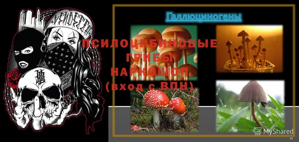 спиды Алзамай