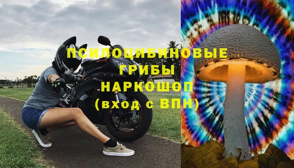 бутират Алексин
