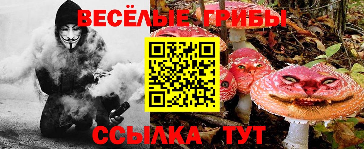Псилоцибиновые грибы прущие грибы  Вход с VPN  Сухой Лог 