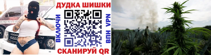Канабис план  Сухой Лог 